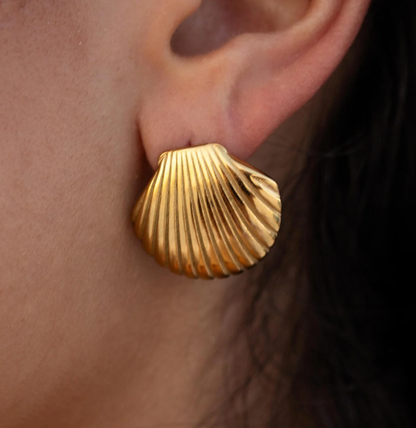 Seashell Stud earrings in gold