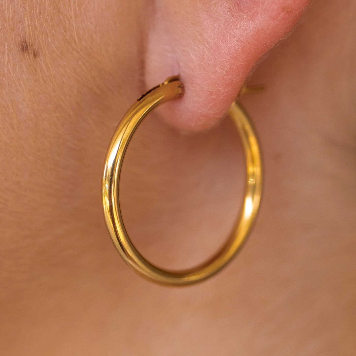 Staple Gold Hoops | ALCO