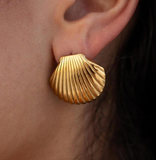 Seashell Stud earrings in gold 